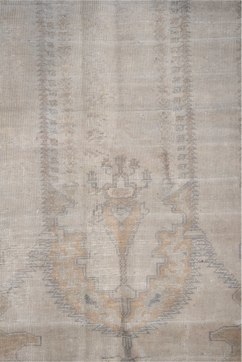 Vintage Kaisary Area Rug (4' x 6')